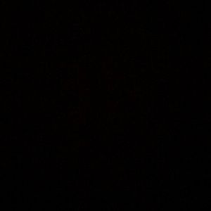 Meet your Posher, Alan